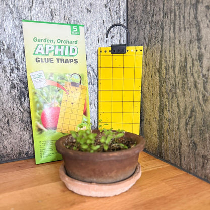 Fluepapir 3 stk x 5-PAKK